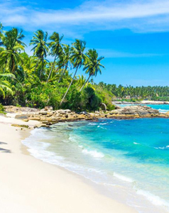 Ceylon Island Trails