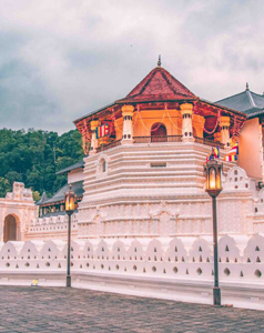 Ceylon Island Trails