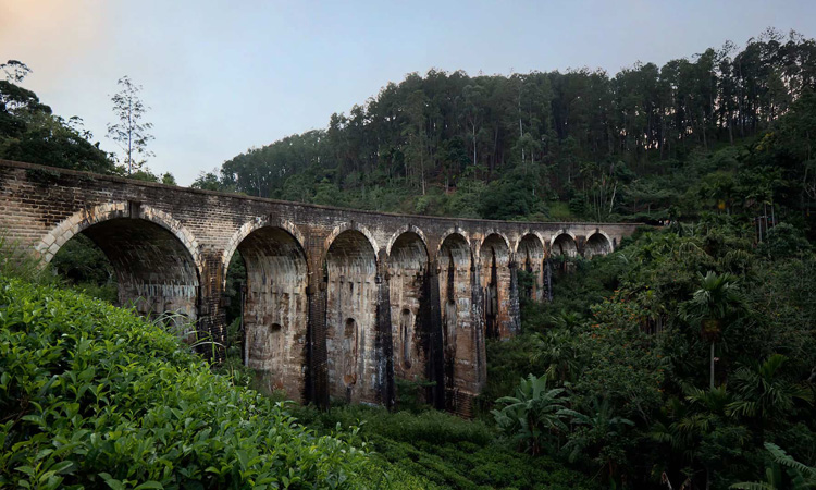 Ceylon Island Trails