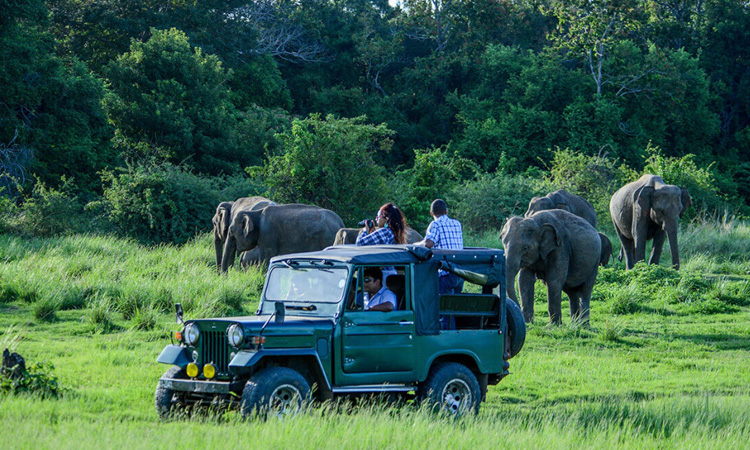 tour-listing-details-slide