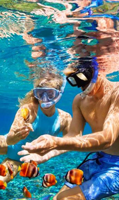 Ceylon Island Trails