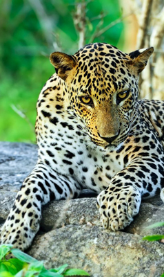 Ceylon Island Trails