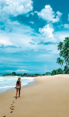 Ceylon Island Trails